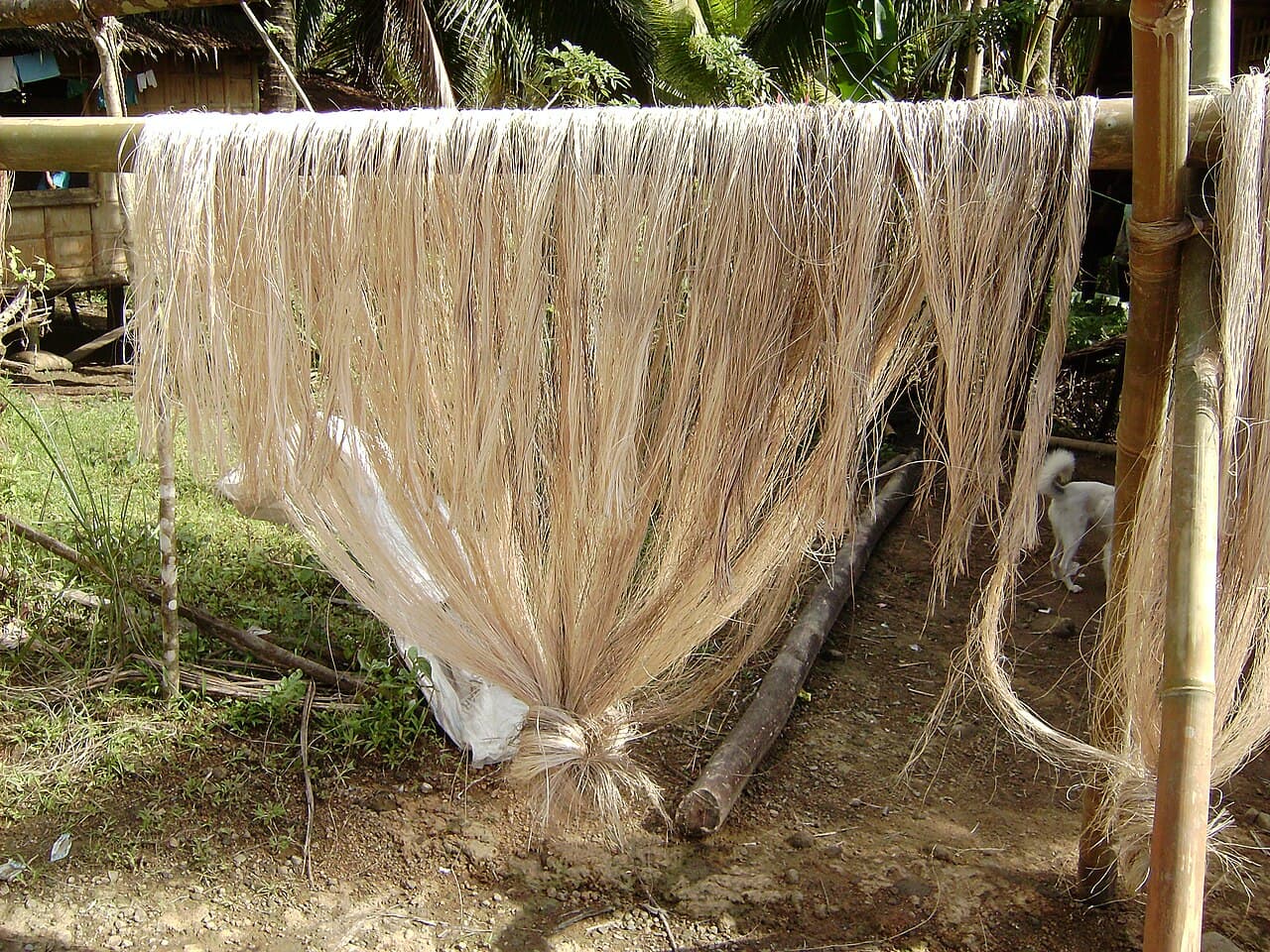 Sustainably harvested natural abaca, rattan canes, and plant fibers