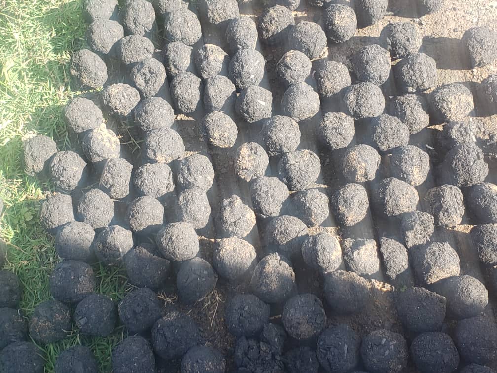High-density coconut shell charcoal briquettes for shisha and grilling