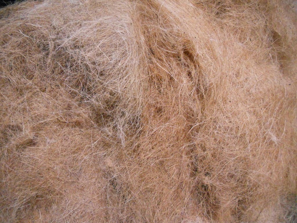 Washed low-EC coconut coir peat blocks and horticultural growing substrate