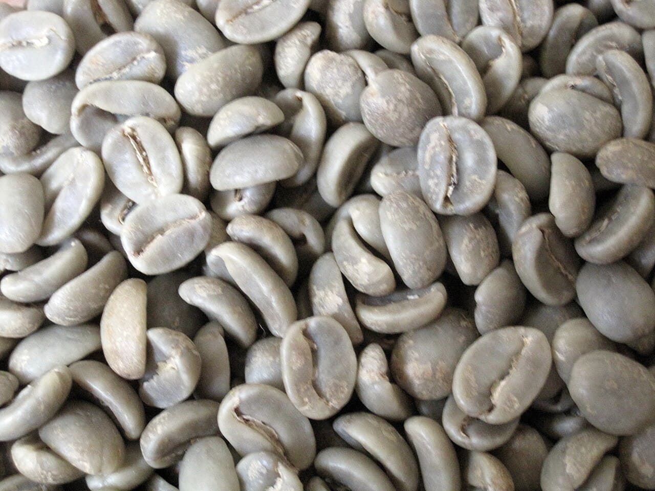 Green specialty Arabica and fine Robusta unroasted coffee beans from Sumatra and Java