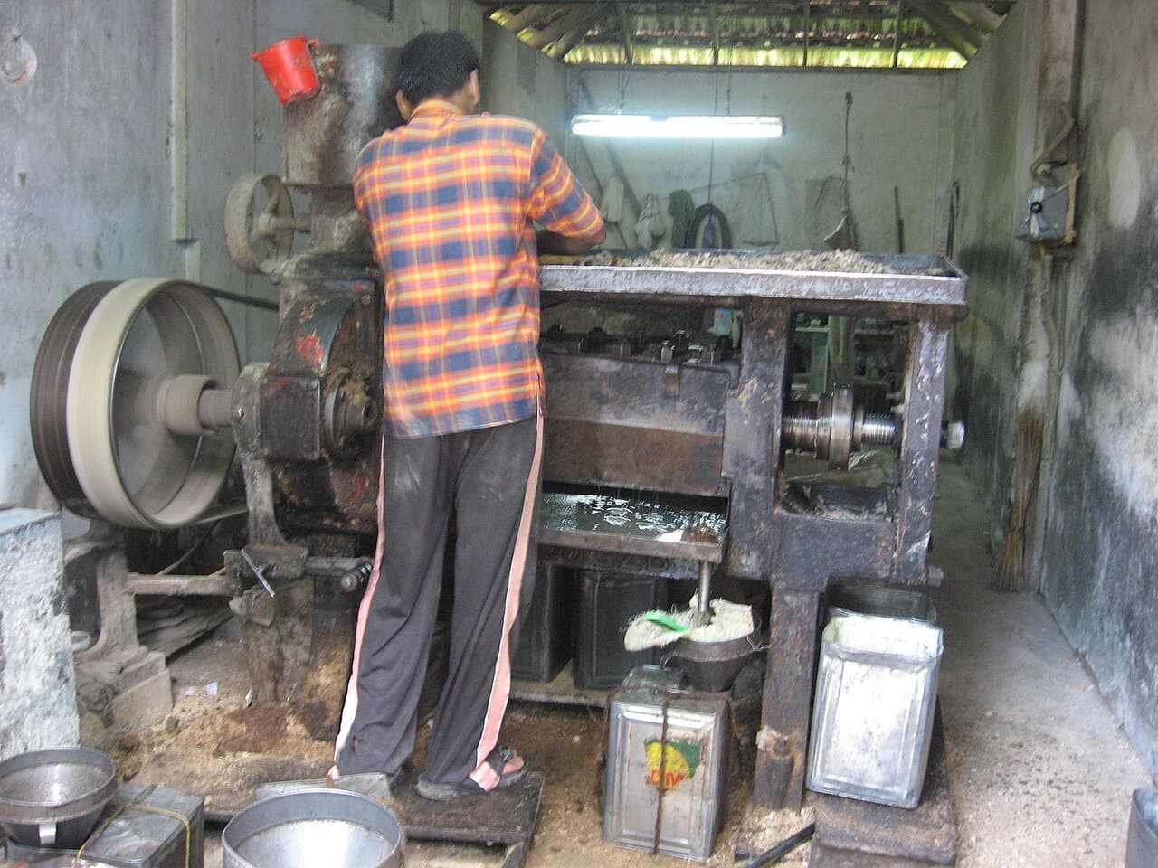 Kiln and sun-dried Indonesian copra kernels with high extractable oil content