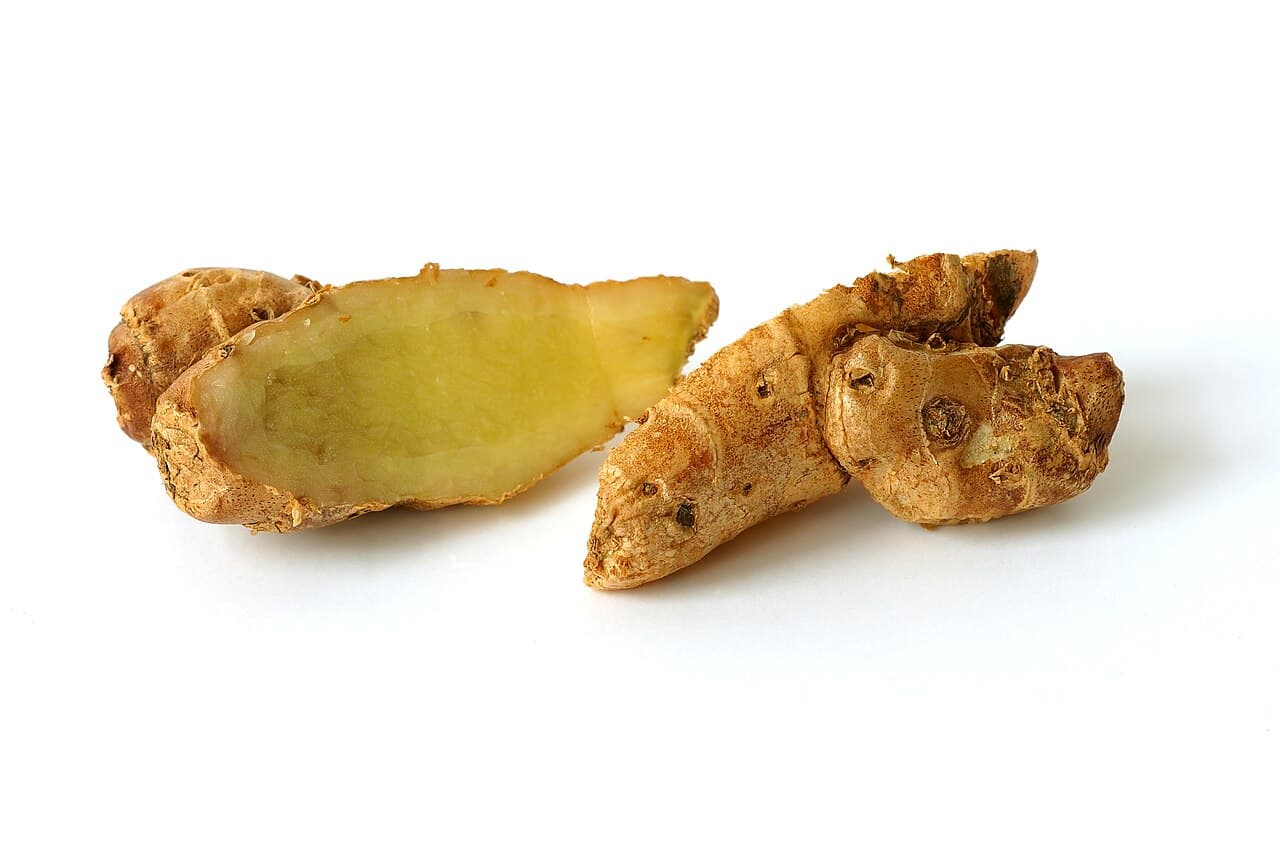 Indonesian greater galangal (Alpinia galanga) fresh and sliced dried rhizomes
