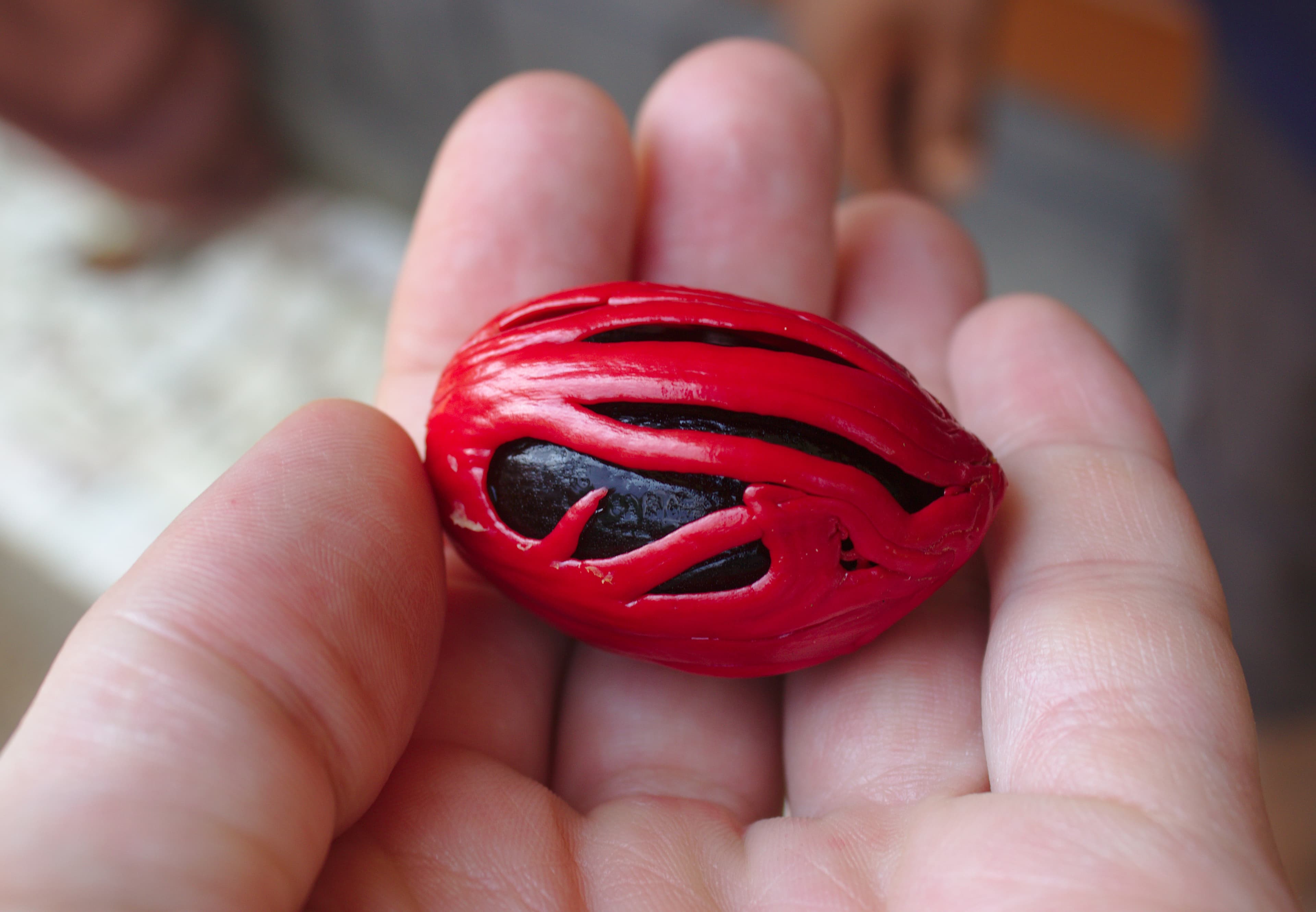 Sun-cured whole Indonesian mace blades (nutmeg aril) with vibrant crimson hue