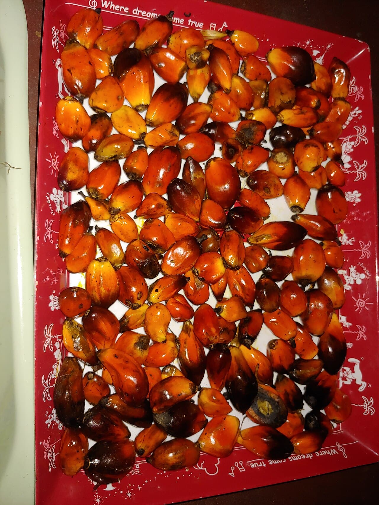 Clean screened palm kernel shells (PKS) high-calorific biomass fuel