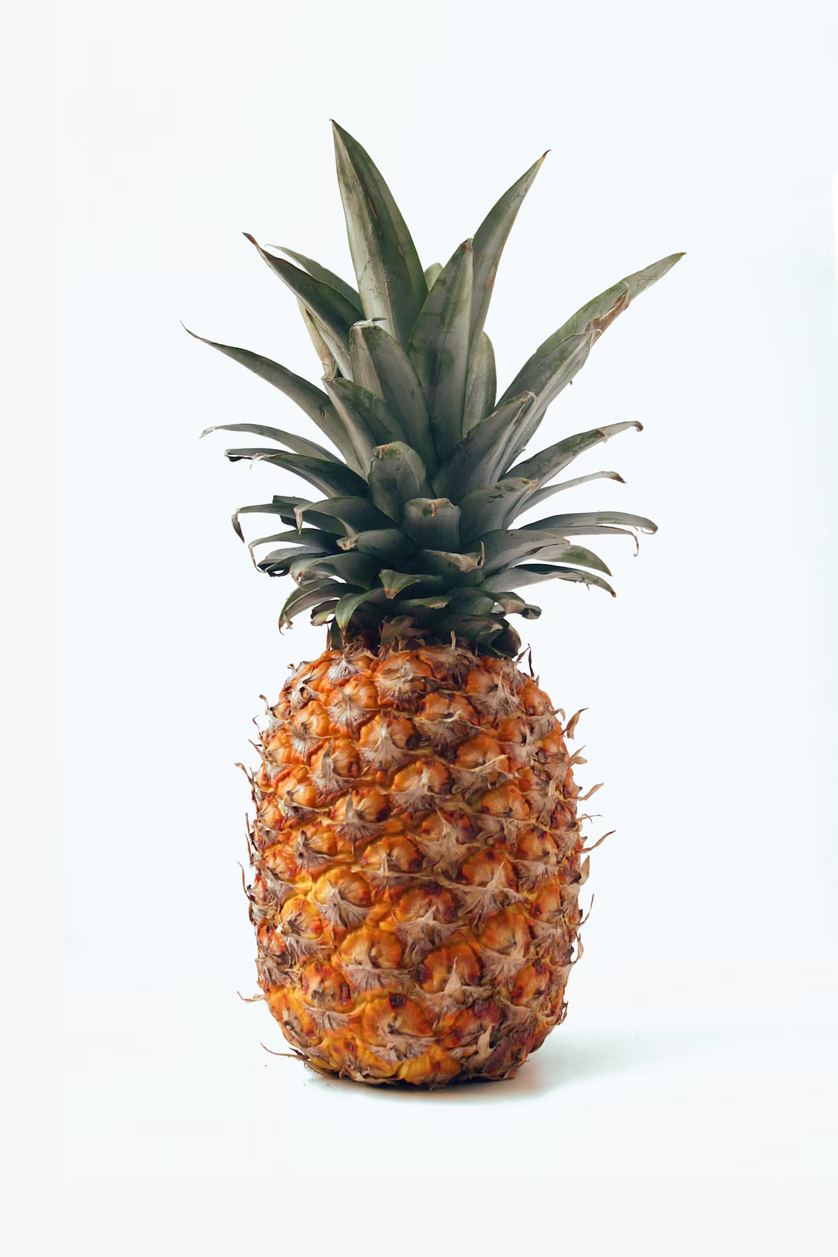 Sweet Golden MD2 and Smooth Cayenne pineapples harvested from Lampung plantations
