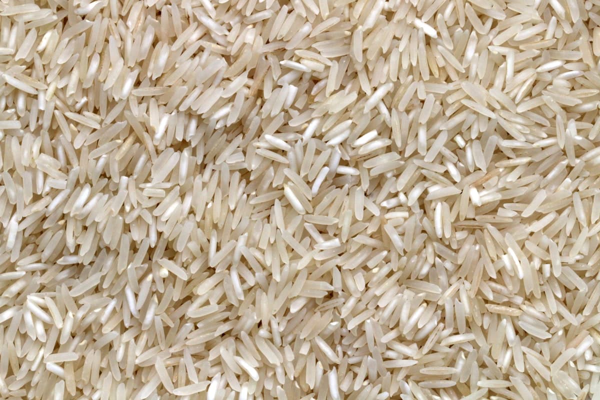 Food and industrial grade bulk agricultural starches and grains from Indonesia