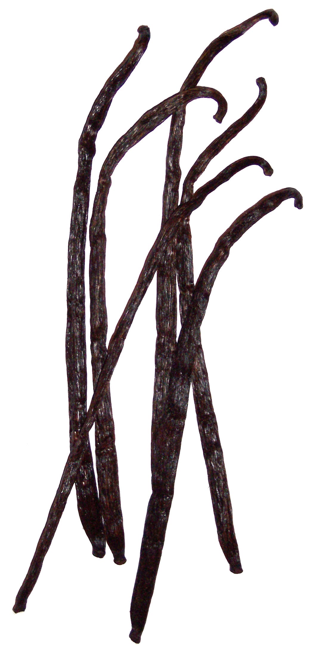 Gourmet sun-cured Indonesian Planifolia vanilla beans with high vanillin crystals