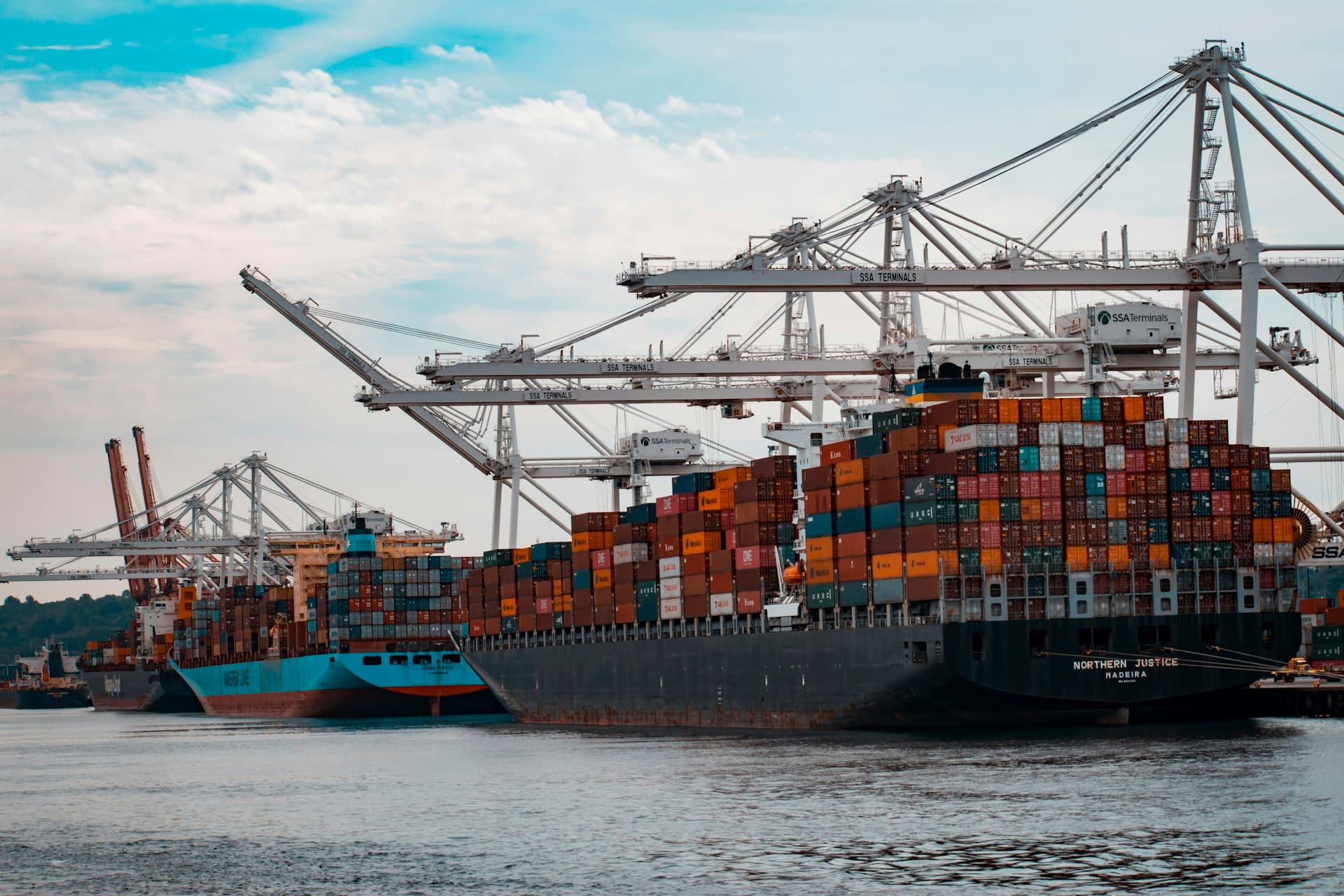 International deepwater container vessel and terminal cranes loading bulk agricultural cargo